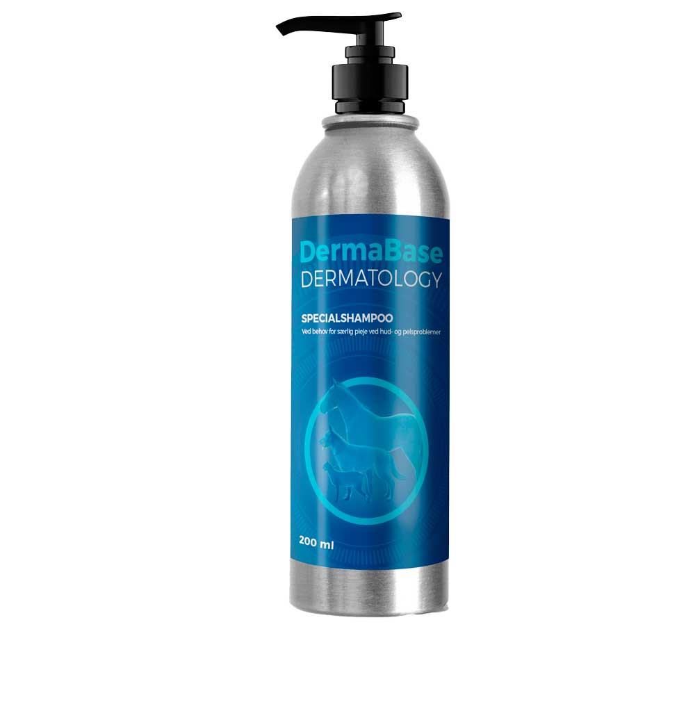 DermaBase Shampoo