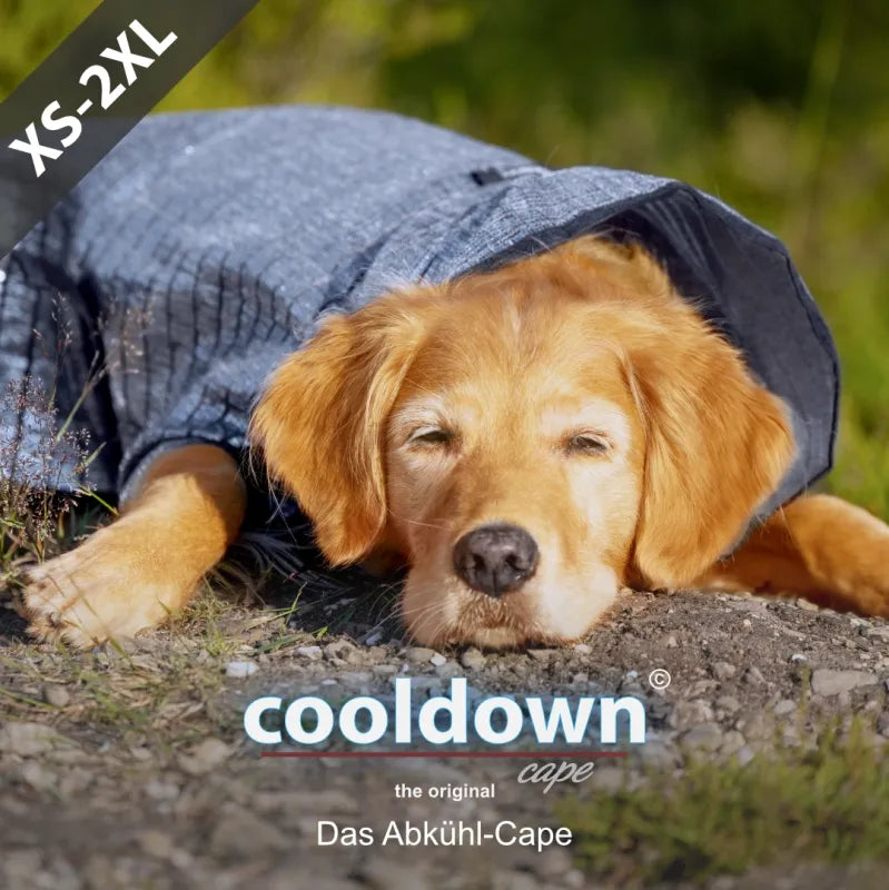 Cooldown Cape køledækken