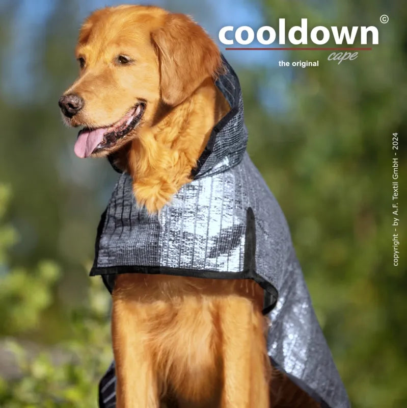 Cooldown Cape køledækken
